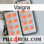 Vaigra 27